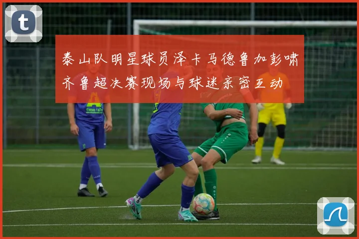 泰山队明星球员泽卡马德鲁加彭啸齐鲁超决赛现场与球迷亲密互动